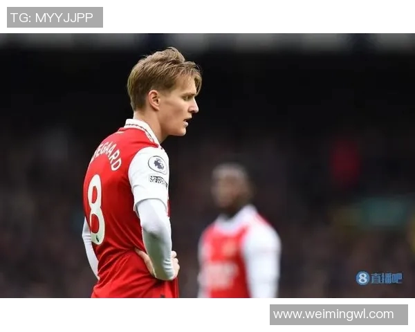 厄德高助力球队重返巅峰展现出色个人能力与团队协作精神