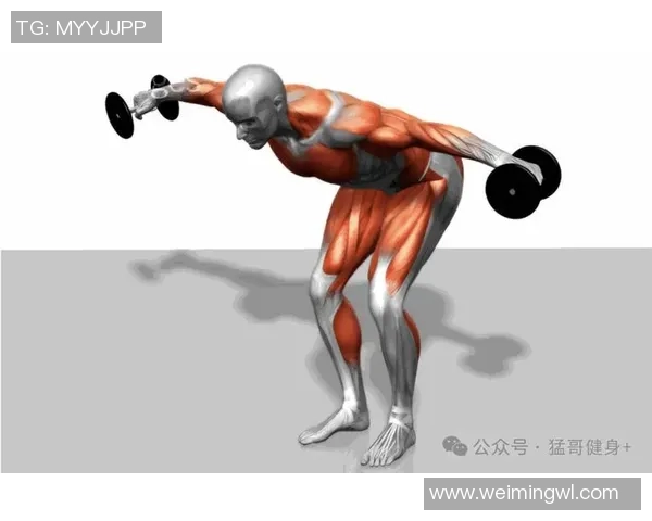 三角肌后束哑铃外翻训练技巧与效果解析助你塑造完美肩部线条