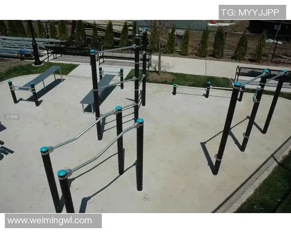 健身器材生产厂家助力健康生活打造专业健身设备提升运动体验