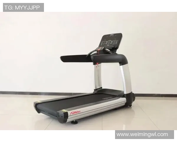 全面解析健身器材大全助你选择适合自己的健身装备与器械