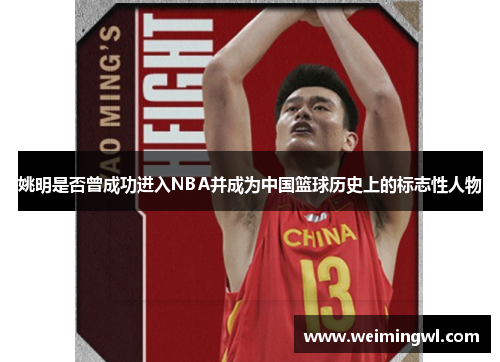姚明是否曾成功进入NBA并成为中国篮球历史上的标志性人物