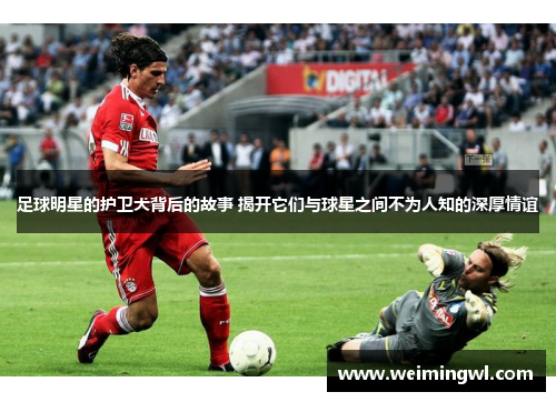 足球明星的护卫犬背后的故事 揭开它们与球星之间不为人知的深厚情谊