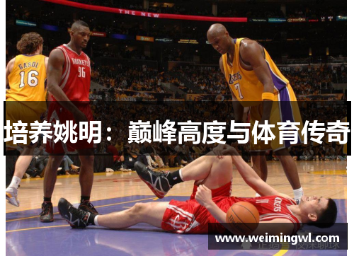 培养姚明：巅峰高度与体育传奇