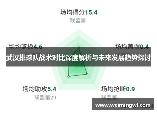 武汉排球队战术对比深度解析与未来发展趋势探讨