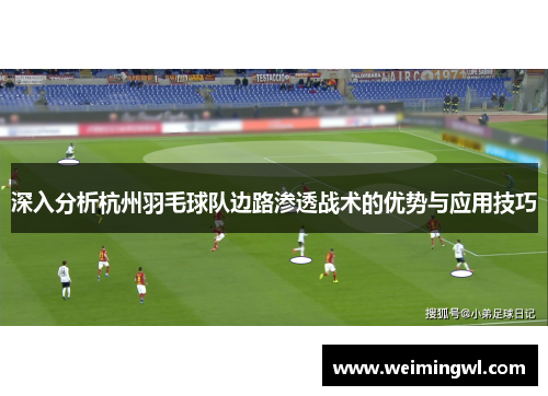 深入分析杭州羽毛球队边路渗透战术的优势与应用技巧