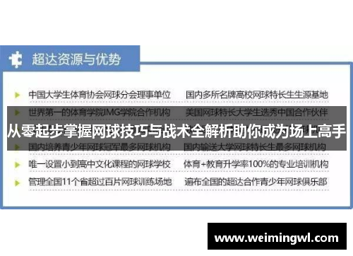 从零起步掌握网球技巧与战术全解析助你成为场上高手