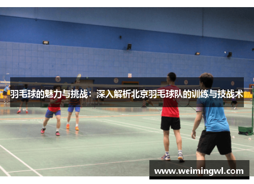 羽毛球的魅力与挑战：深入解析北京羽毛球队的训练与技战术