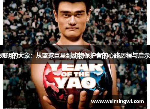 姚明的大象：从篮球巨星到动物保护者的心路历程与启示