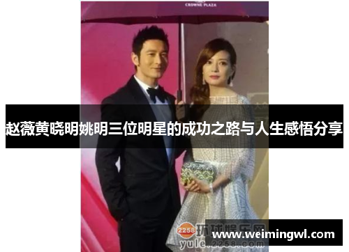 赵薇黄晓明姚明三位明星的成功之路与人生感悟分享
