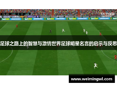 足球之路上的智慧与激情世界足球明星名言的启示与反思