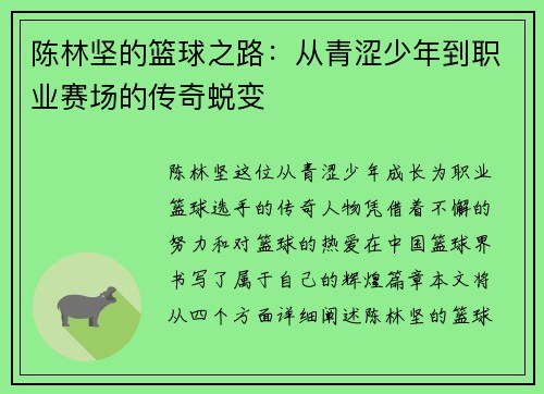 陈林坚的篮球之路：从青涩少年到职业赛场的传奇蜕变