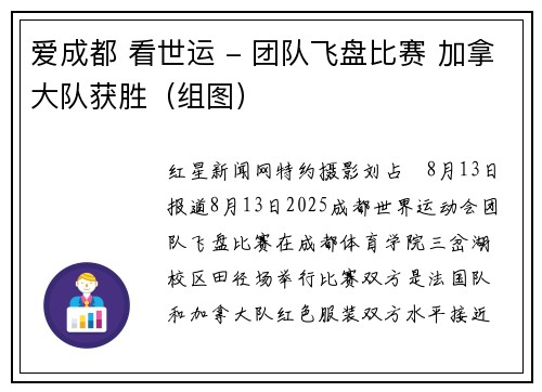 爱成都 看世运 - 团队飞盘比赛 加拿大队获胜（组图）